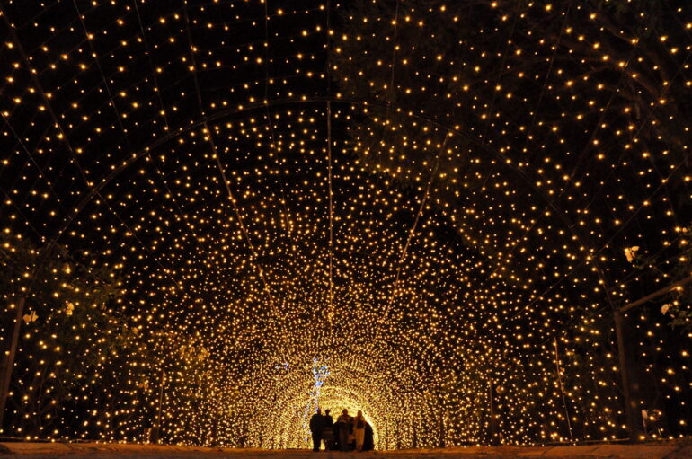 Magical,Tunnel,Full,Of,Lights
