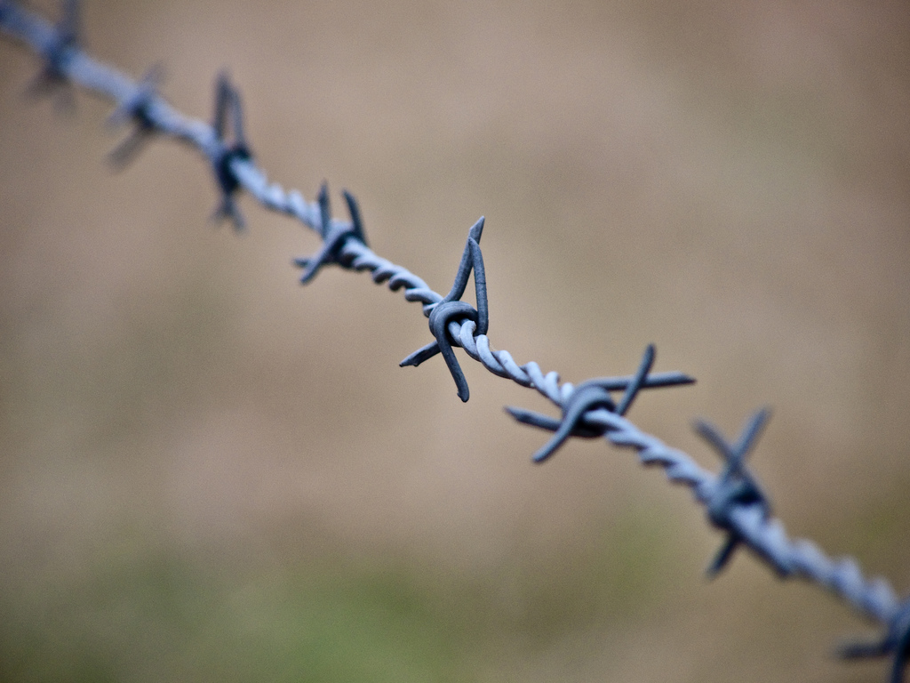 Talk is Cheap: Six Ways to Align Your Actions & Your Words