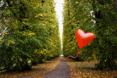 Following Your Heart… And Other Lessons Learned in a Job Search