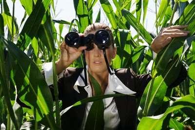 So What do Public Relations Professionals Do, Anyway?